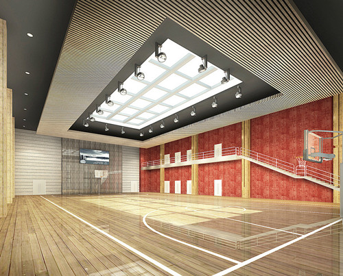 體育運動地板 體育運動地板