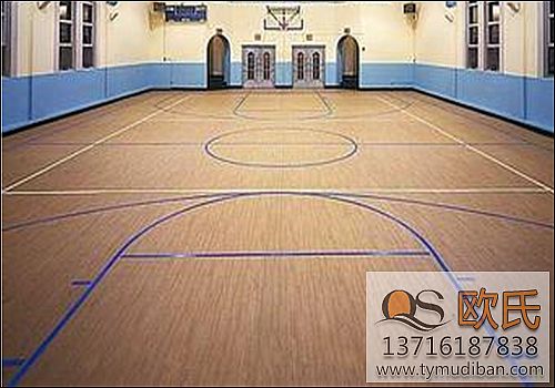體育運(yùn)動地板 體育運(yùn)動地板