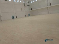 �Ҹ�ʽ�\�ӈ���ľ�ذ�ʩ��