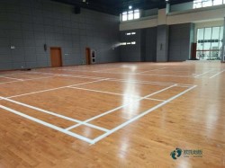 ��ľ���_(t��i)�\(y��n)��(d��ng)�w���ذ�Ʒ���Ă�(g��)��