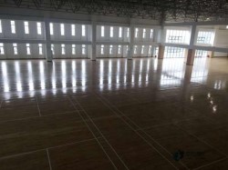 20���\(y��n)��(d��ng)��(ch��ng)��ľ�ذ��Ă�(g��)���ӵĺ�