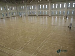 �����\(y��n)��(d��ng)ľ�ذ�h(hu��n)��