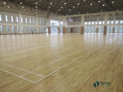 室內(nèi)運(yùn)動(dòng)場(chǎng)地木地板施工隊(duì)
